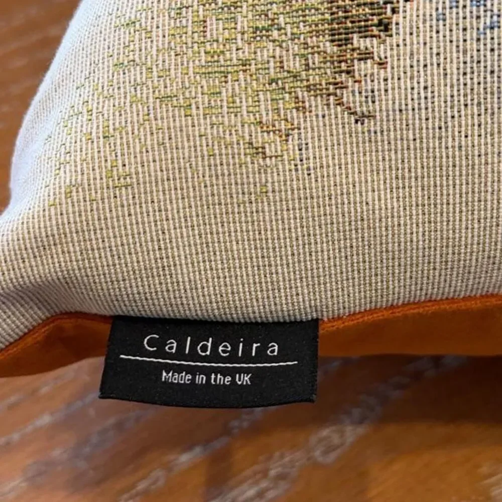 Caldeira Halloween Children Tapestry Pillow